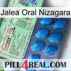 Nizagara Oral Jelly new02